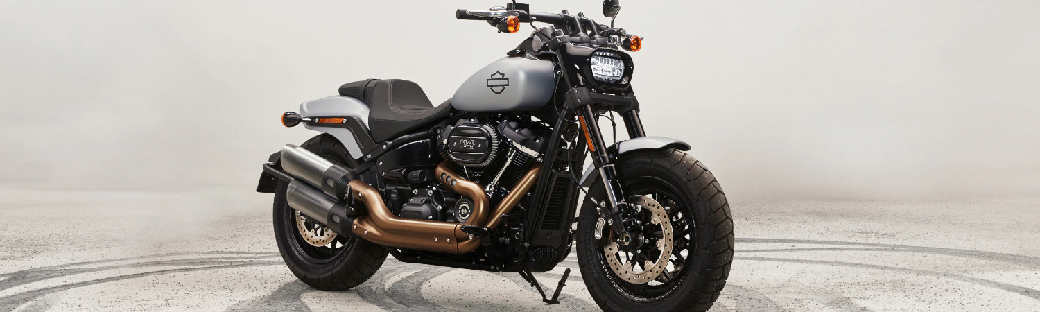 2022 Harley-Davidson® for sale in Windy City Motorcycle Company, DeKalb, Illinois